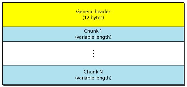 Packet Format in SCTP